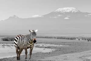Higher Certificate in Photography offered by VEGA School