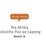 Grade 10 Sesotho Study Free Guides
