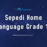 Sepedi Home Language Grade 12 November 2019 past exam papers and Memos