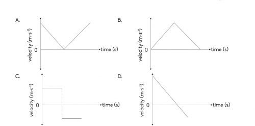 Vertical Projectile Motion Notes For Grade