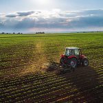 Agricultural Management Practices Grade 12 November 2020 Question Papers and Memos Paper 1, Paper 2