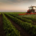 2018 Agricultural Management Practices Grade 12 November question papers and memos download
