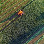 2018 Agricultural Sciences Grade 12 November question papers and memos download
