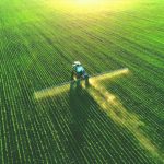 Agricultural Management Practices Grade 12  May -June 2021 NSC DBE Exams and Memos