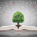 Physical Sciences Grade 11 Free Textbooks and Teacher Guides for download