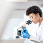 Physical Sciences Grade 11 Paper 1 Term 4 November 2019 Exam Question Paper and Memorandum