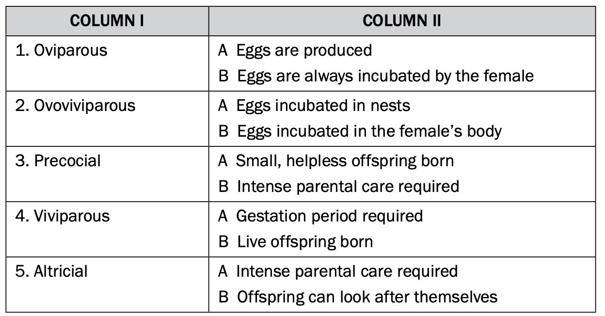 Reproduction in Vertebrates Diversity of Reproductive Strategies » My