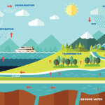 Why is the sea an important part of the water cycle