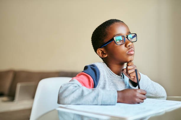 Drama: My Children My Africa English Grade 12: Mind the Gap Guide