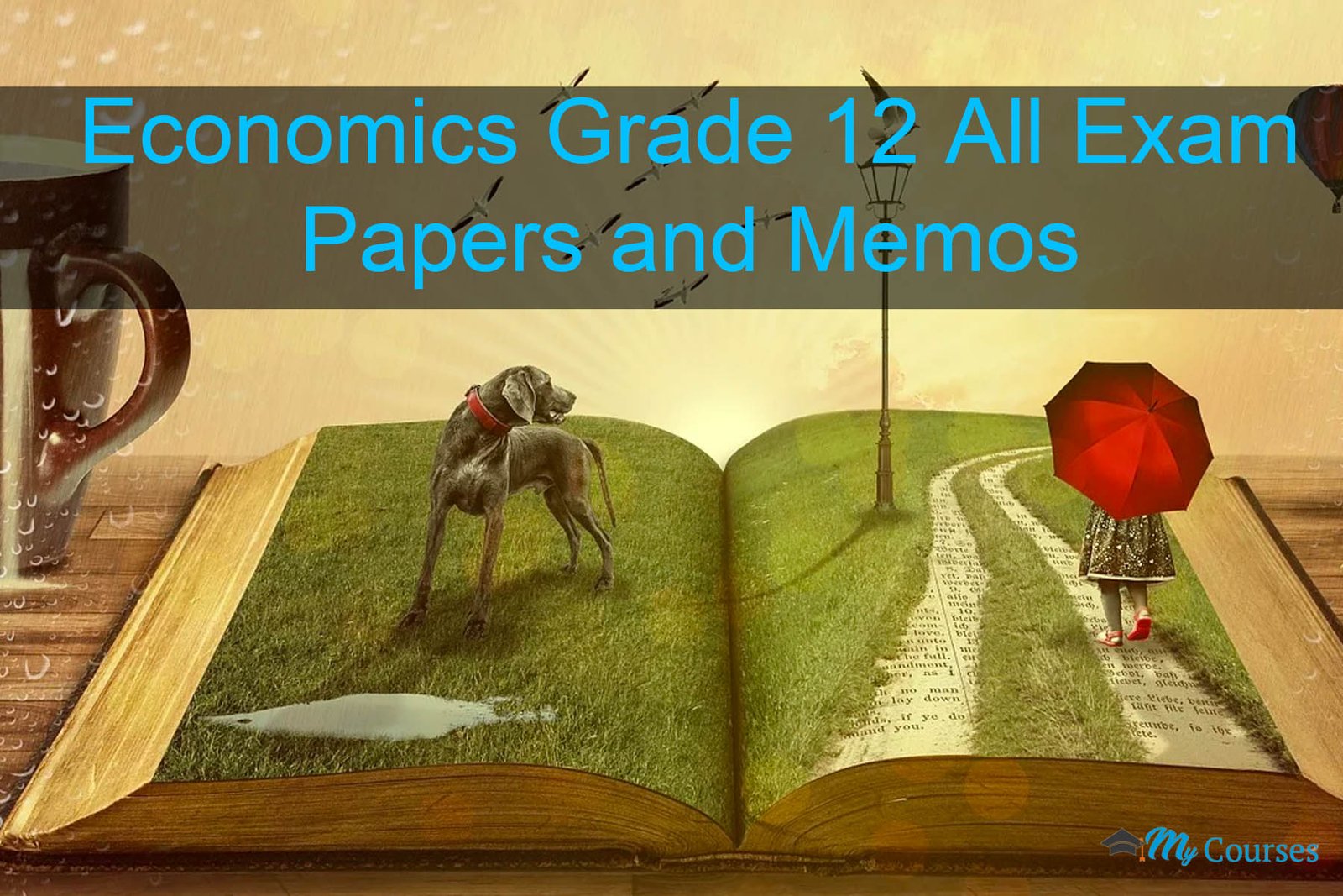 Economics Grade 12 All Exam Papers and Memos 2023 – 2016  for All Years All Terms