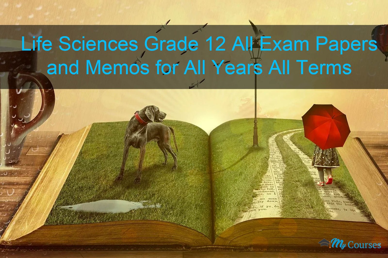 Life Sciences Grade 12 All Exam Papers and Memos for All Years All Terms