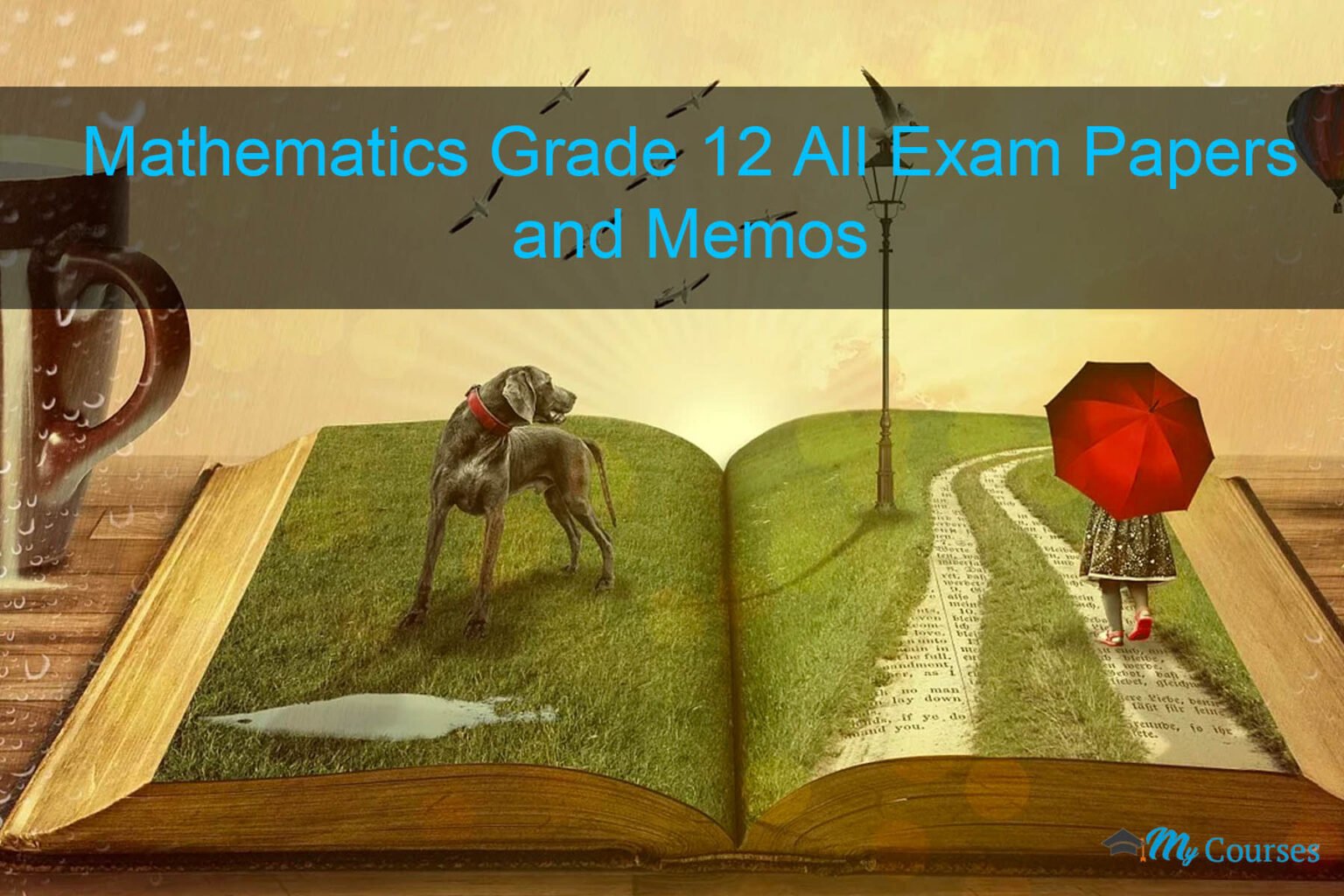 50-grade-12-mathematics-past-question-papers-and-memos-pdf-my-courses