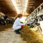 Animal Production NCV Level 4 Past Exam Papers & Learning Material