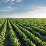Farm Planning And Mechanisation NCV Level 4 Past Exam Papers & Learning Material