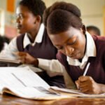 Sepedi Home Language Grade 12 November 2022 Exam Question Papers and Memos Paper 1 + Paper 2 + Paper 3