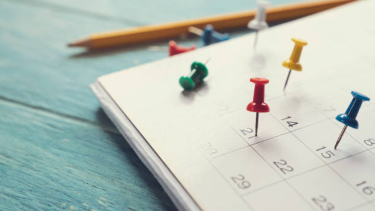 SA Universities Academic Calendars » My Courses