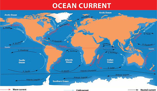 How does Coriolis force influence the movement of ocean currents