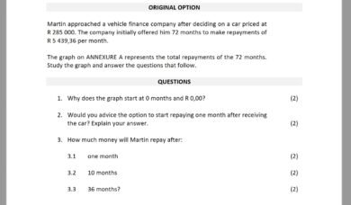 mathematics literacy grade 12 assignment term 2