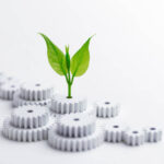 Corporate Social Responsibility (CSR) Notes and Exam Questions Business Studies Grade 12