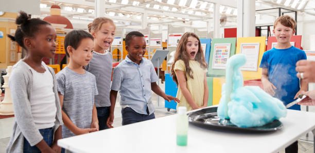 Science Expo Ideas for South African Schools