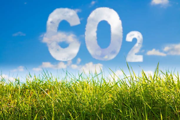15 Ways to Reduce Ozone Depletion