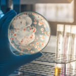 EXPLANATION: How Yeast Cells Benefit from the Fermentation Process