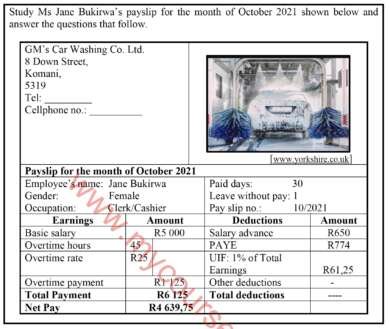 MATHEMATICAL LITERACY GRADE 11 TEXTBOOK PDF visual data 8