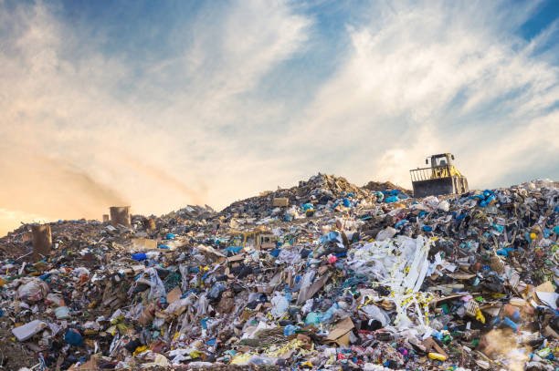 The Impact of Shopping Bags on the South African Environment