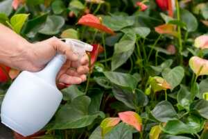 How Long Does Insecticide Poisoning Last