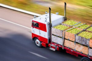 Solved: Explain how trade and transport make it possible for people in Europe to eat fruit grown in South Africa or meat from New Zealand throughout the year