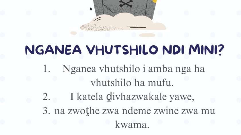 Nganea vhutshilo ndi mini?