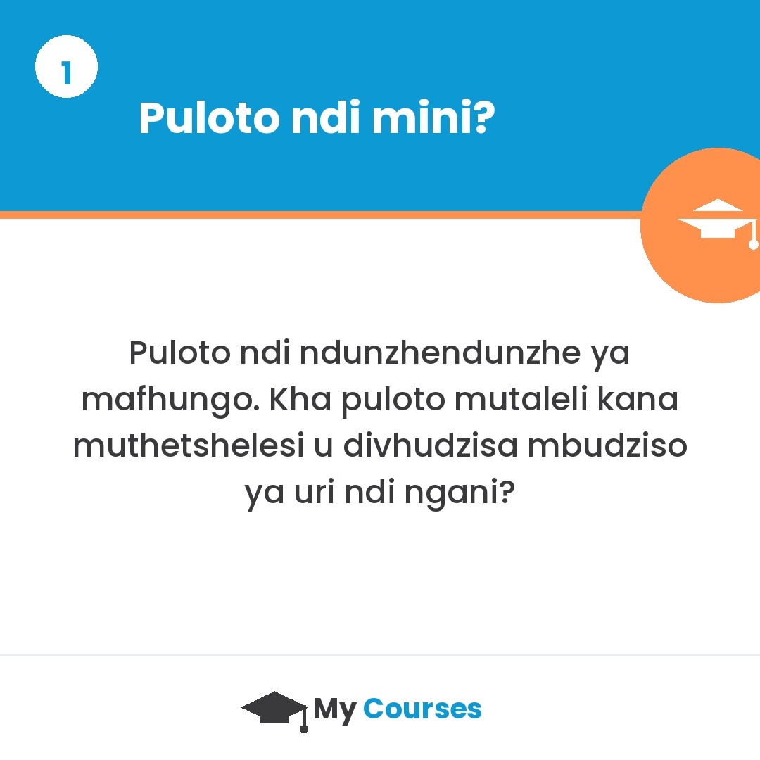 puloto ndi mini