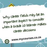 Explain why career fields may be an important aspect to consider when a Grade 10 learner makes career decisions