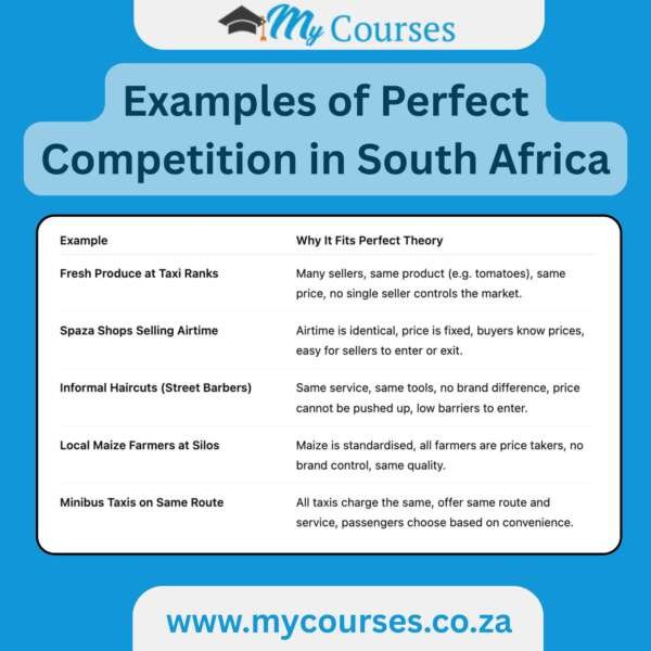 Examples of Perfect Competition in South Africa » My Courses