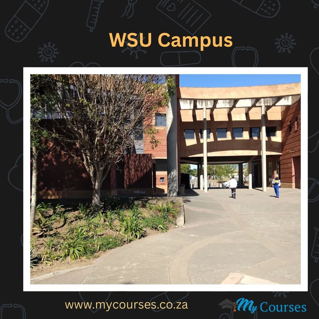 WSU Campus