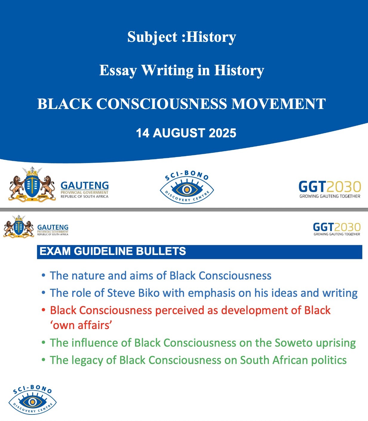 Essay Writing in History — Black Consciousness Movement PDF Guide 43233566