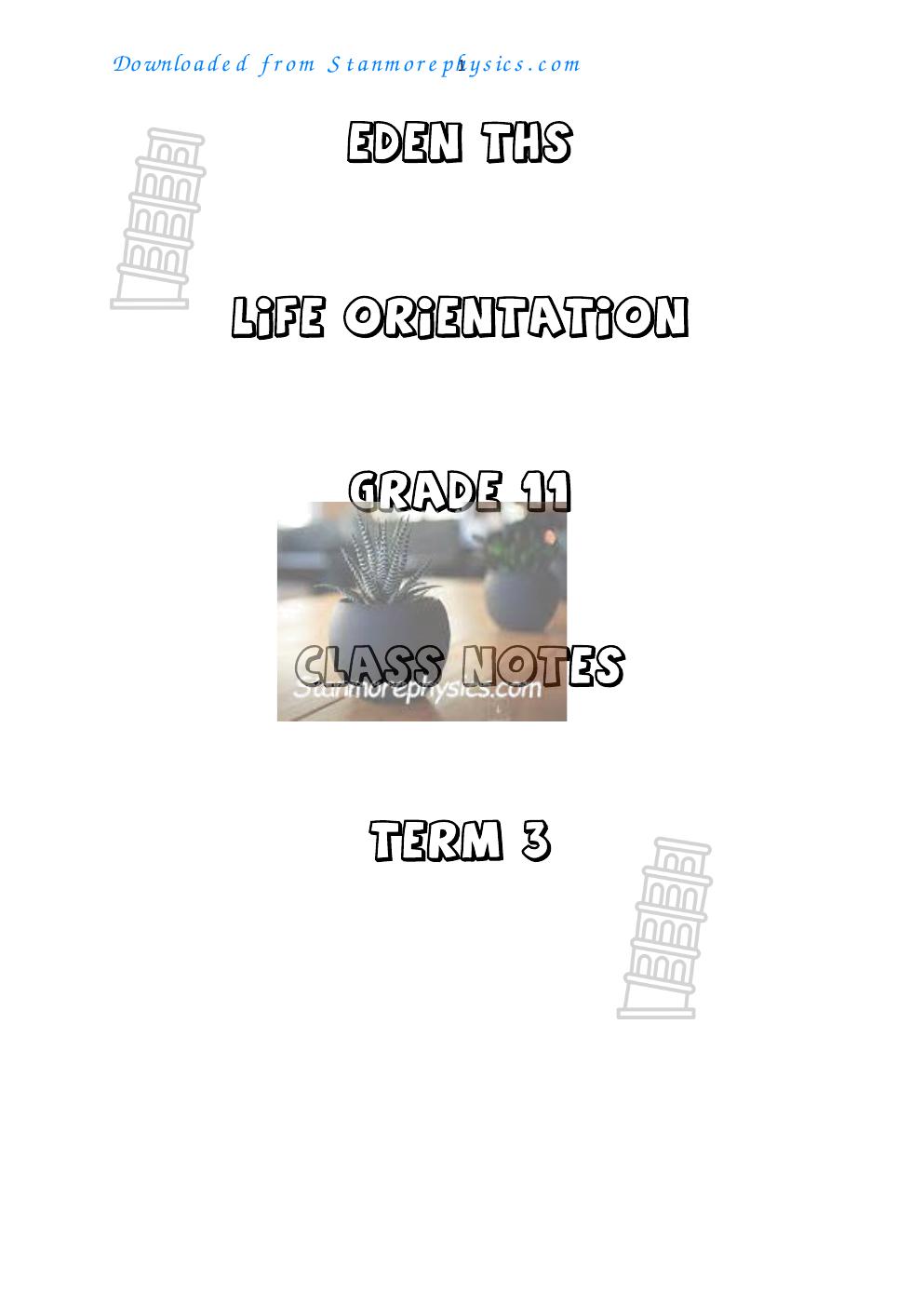 Grade 11 Life Orientation Term 3 Class Notes on Healthy Lifestyles PDF qohmuh