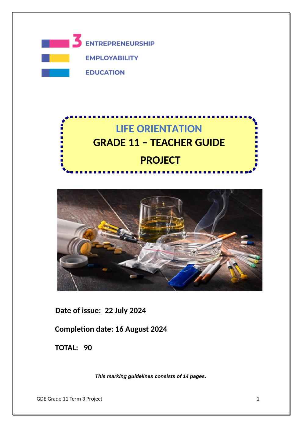 Grade 11 Life Orientation Term 3 Project Teacher Guide