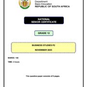 Grade 12 Business Studies P2 Nov 2025 Eng Question Paper & Memo PDF