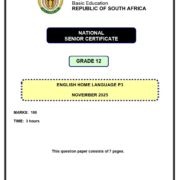 Grade 12 English HL P3 Nov 2025 Question Paper & Memo PDF