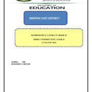 Grade 12 Mathematical Literacy Term 3 Common Test 2 PDF kxwnre