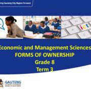 Grade 8 EMS Term 3 Notes on Forms of Ownership PDF k3i8bz